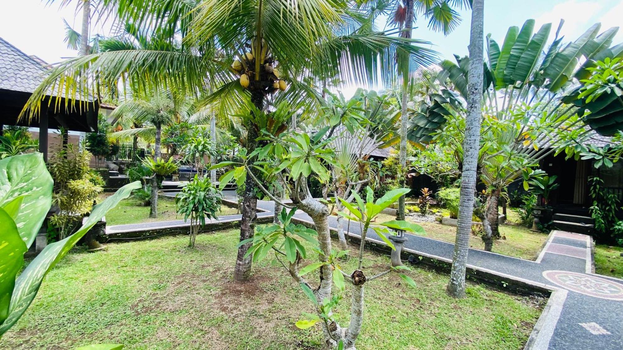 Dong Loka Guesthouse Bali Carangsari Extérieur photo